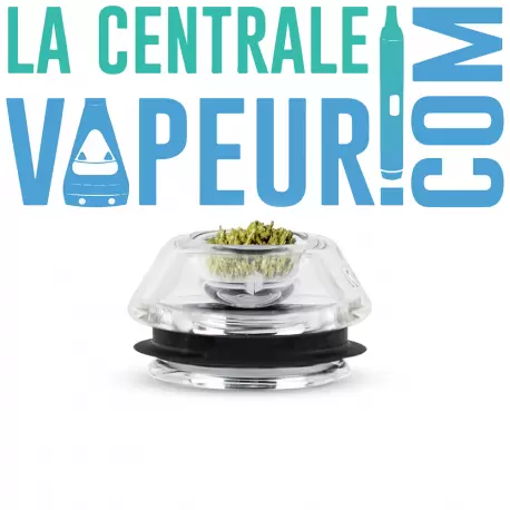 Proxy Flower Bowl - Bol à fleurs Puffco