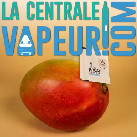 Integra Boost Terpene Myrcène 62% 4 grammes