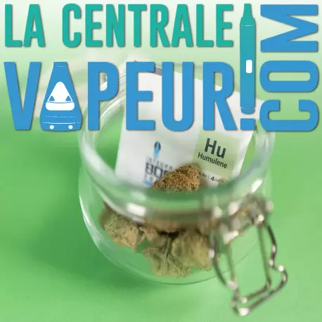 Integra Boost Terpene Humulène 62% 4 grammes